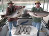 (04/01/2015) - Nice Striped Bass